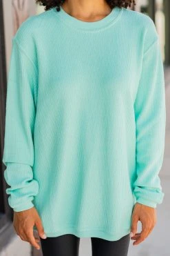 True To Form Sportswear Mint Green Corded Sweatshirt -ANINE BING Shop 100273.PennantSportswearMintGreenCordedSweatshirt copy 2