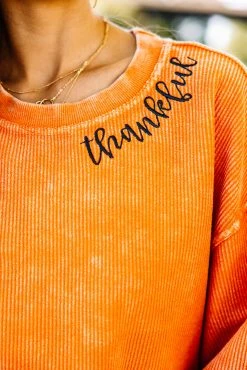 Thankful Burnt Orange Corded Embroidered Sweatshirt -ANINE BING Shop 102422.Thankful6