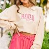 Hawaii USA Natural Corded Embroidered Sweatshirt -ANINE BING Shop 104452.HawaiiUSANaturalCordedEmbroideredSweatshirt copy 2